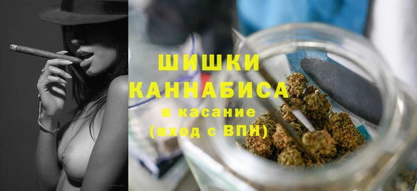 ПСИЛОЦИБИНОВЫЕ ГРИБЫ Белокуриха