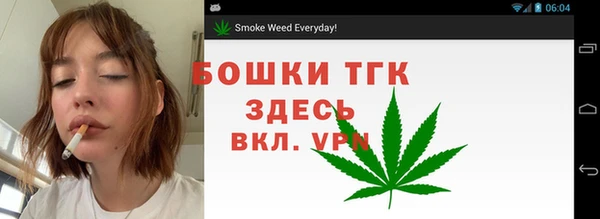 ПСИЛОЦИБИНОВЫЕ ГРИБЫ Белокуриха