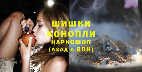 ПСИЛОЦИБИНОВЫЕ ГРИБЫ Белокуриха
